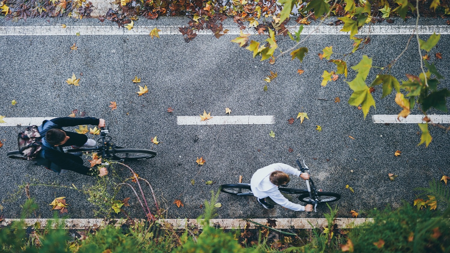 Cyclists riding on a road