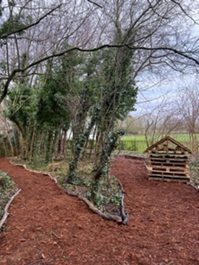 Trees and paths as part of the nature garden