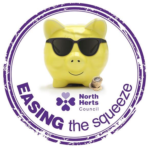 Easing the squeeze logo - piggy bank with sunglasses