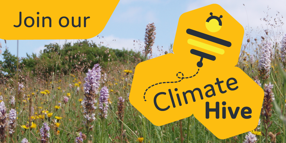 Join our Climate Hive