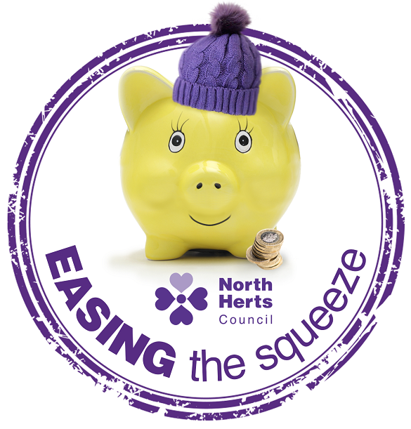 Easing the squeeze graphic - yellow piggy bank with purple bobble hat