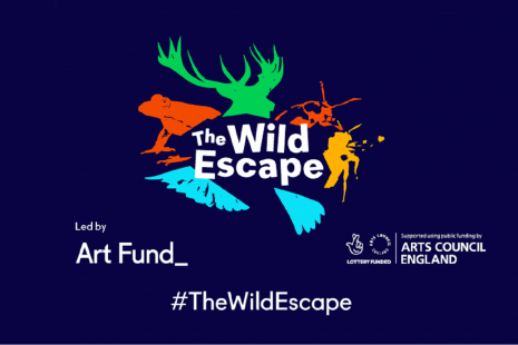 The Wild Escape graphic