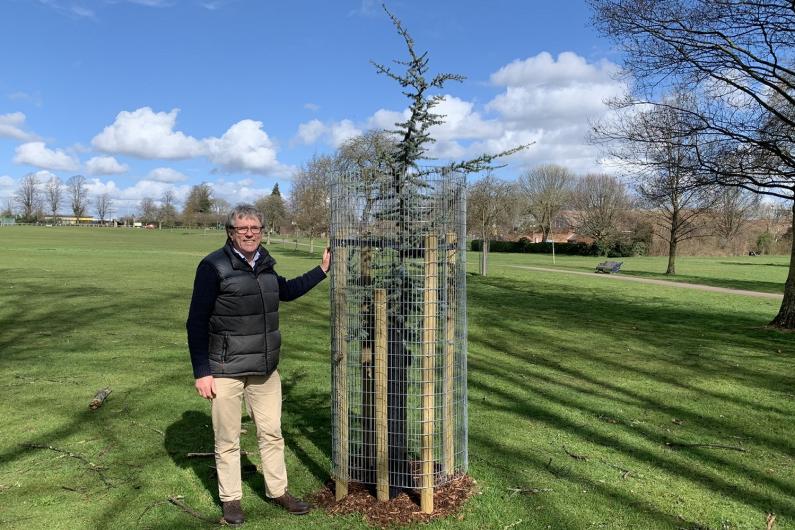 Cllr Jarvis with Queen's Platinum Jubilee tree